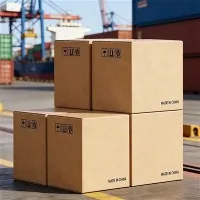 Folding Printed Carton