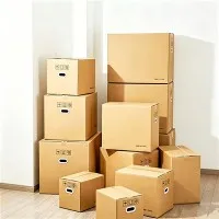 Loj Muaj Zog Cardboard Thawv