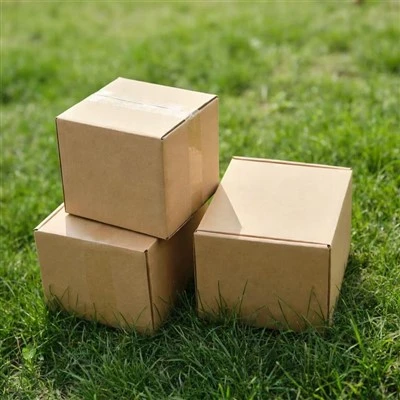 Hnyav -Cov Khoom Ua Haujlwm Corrugated Cartons